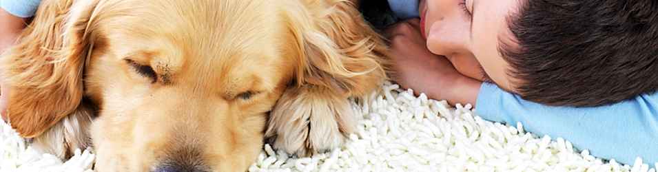 Basaksehir Halı Yıkama Fabrikası ve Firması